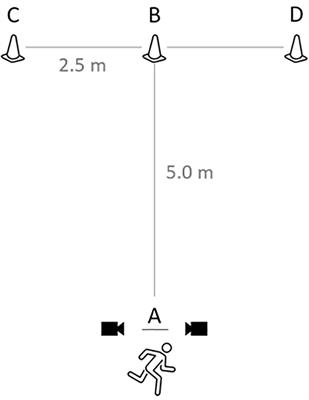 The Associations Between Physical Performance and Anthropometric Characteristics in Obese and Non-obese Schoolchild Handball Players